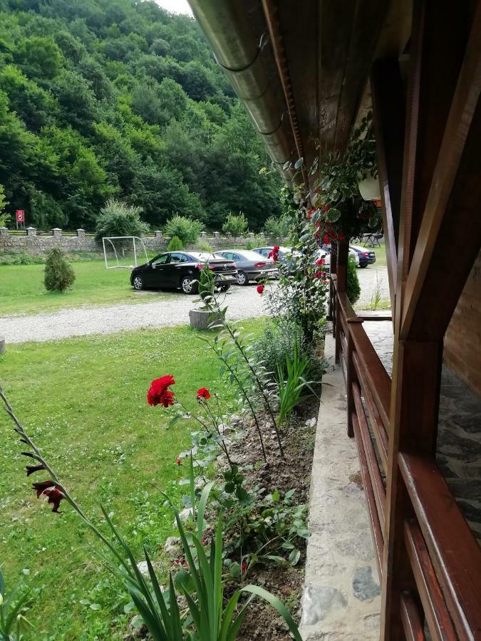 Pensiunea La Busu -Bigar Bozovici Εξωτερικό φωτογραφία