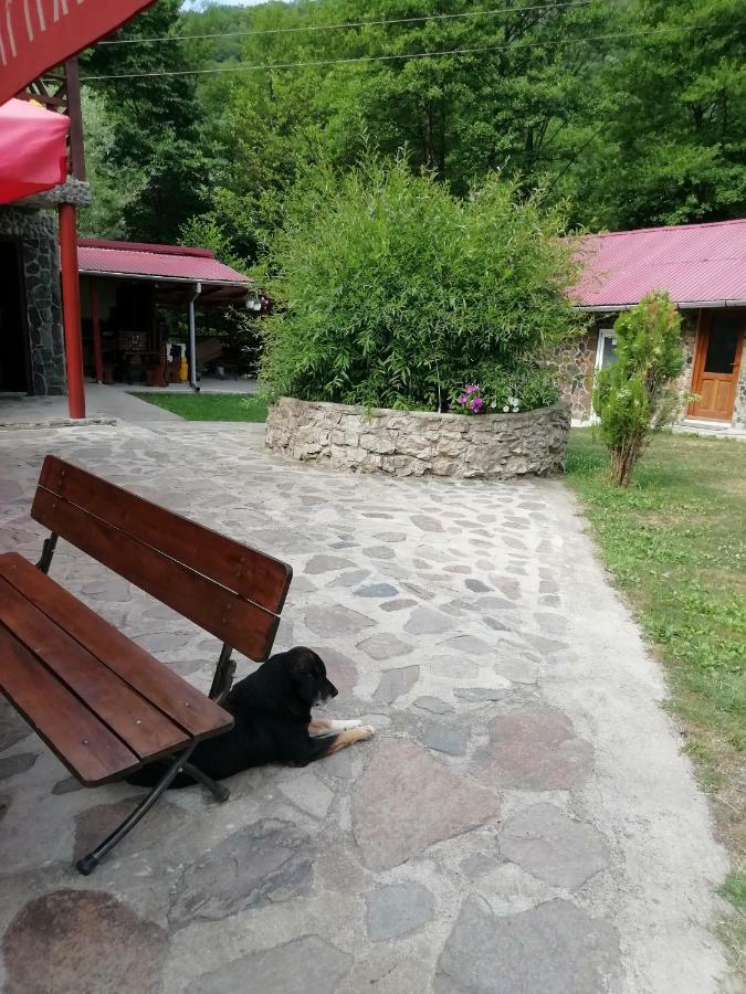 Pensiunea La Busu -Bigar Bozovici Εξωτερικό φωτογραφία